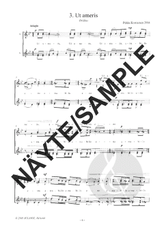 Adagia von Pekka Kostiainen 