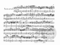 3 Sonaten von Rudolph Straube 