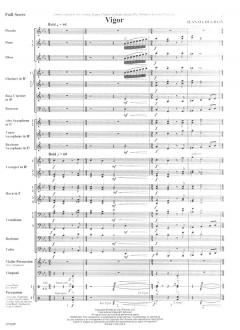 Vigor von Sean O'Loughlin 