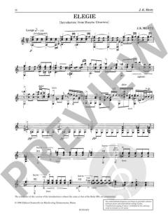 Concert Works Band 6 von Johann Kaspar Mertz 