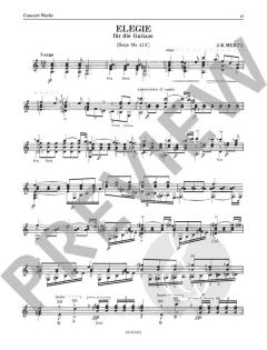 Concert Works Band 6 von Johann Kaspar Mertz 