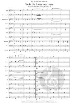 Treibt die Gänse raus 