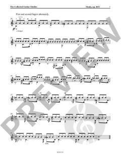 The Collected Guitar Studies 