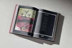 Passing a Message von Conor O'Brien 