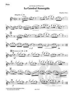 La Catedral Sumergida von Stephen Goss 