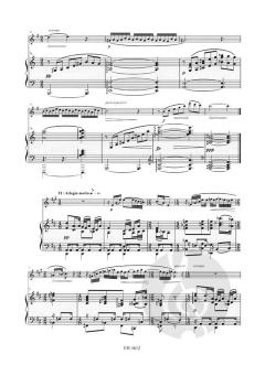 Sonata op.114 von Kenichi Nishizawa 