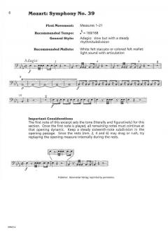 The Working Timpanist's Survival Guide von John Tafoya 