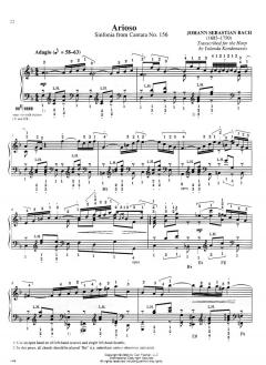 The Yolanda Kondonassis Collection 