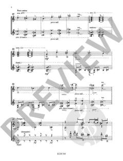 Arenguay von Abel Carlevaro 