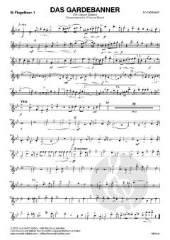 Das Gardebanner von Ivo Radakovich 