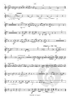 Stemons von Jakob Augschöll 