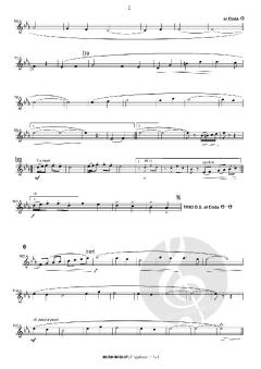 Musik im Blut von Tobias Psaier 