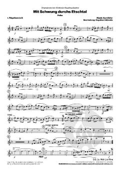 Mit Schwung durchs Etschtal von Kurt Dirler 