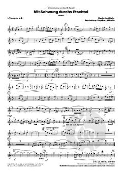 Mit Schwung durchs Etschtal von Kurt Dirler 