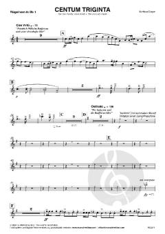 Centum Triginta von Matthäus Crepaz 