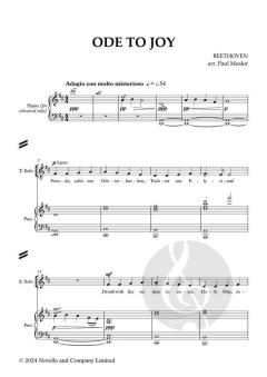 Ode to Joy von Ludwig van Beethoven 