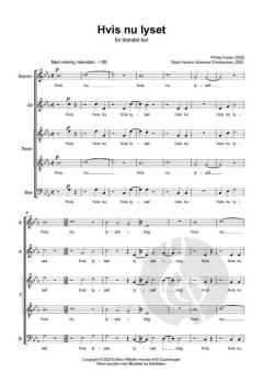 Hvis Nu Lyset von Phillip Faber 