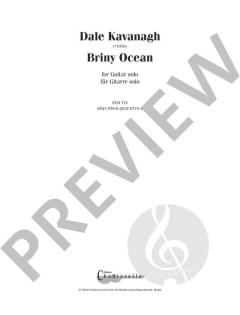 Briny Ocean von Dale Kavanagh 
