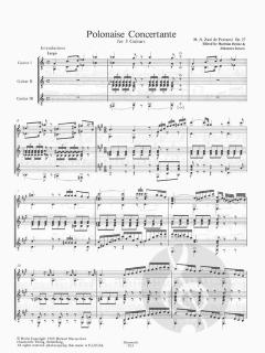 Polonaise Concertante op. 27 Band 13 von M. A. Zani de Ferranti 
