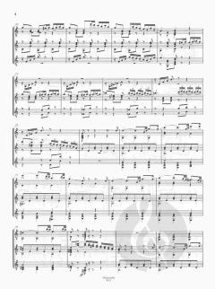 Polonaise Concertante op. 27 Band 13 von M. A. Zani de Ferranti 