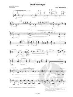 Beschwörungen von Peter Helmut Lang 