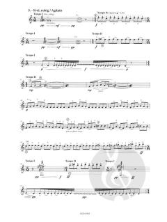 Beschwörungen von Peter Helmut Lang 