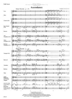 Ascendance von Robert Thurston 