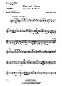 The Ash Grove von Arthur Brandenburg 