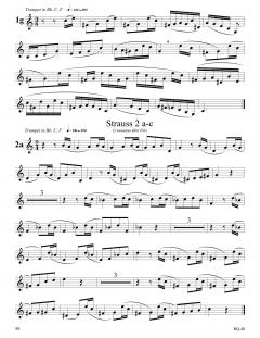 Orchestral Studies Vol. 4 von Rob Roy McGregor 