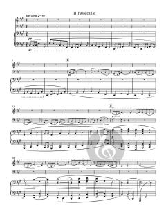 Trio von Maurice Ravel 