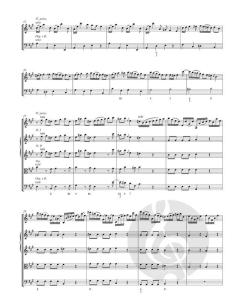 Sei concerti von Giuseppe Tartini 