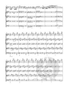 Sei concerti von Giuseppe Tartini 