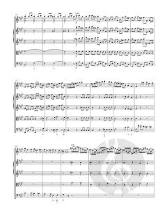 Sei concerti von Giuseppe Tartini 