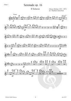 Serenade op.16 - 2. und 3. Satz von Johannes Brahms 