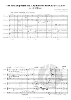 Streifzug durch die 1. Symphonie von Gustav Mahler 
