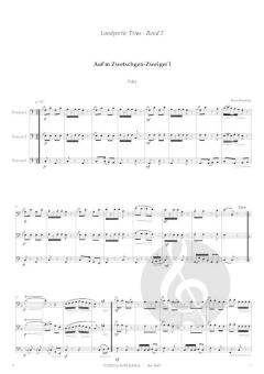 Landpartie-Trios 2 - Polkas und Walzer von Franz Kanefzky 