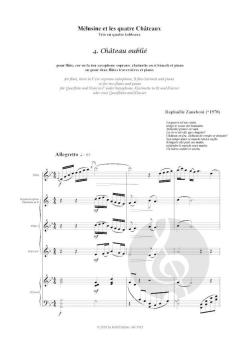 Château oublié von Raphaelle Zaneboni 