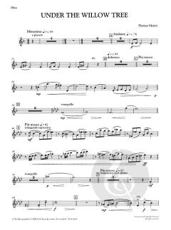 Under The Willow Tree von Florian Moitzi 