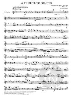 A Tribute To Genesis von Anthony George Banks 