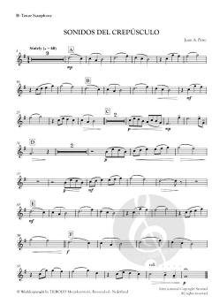 Sonidos Del Crepúsculo von Juan A. Pérez 