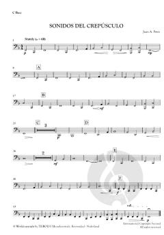 Sonidos Del Crepúsculo von Juan A. Pérez 
