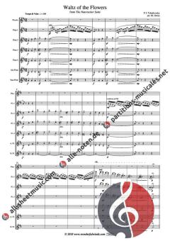 Waltz of the Flowers  von Peter Iljitsch Tschaikowsky 