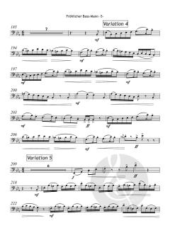 Fröhlicher Bass-Mann von Gottfried Hummel 