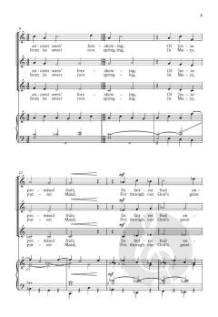 A spotless rose von Christopher D. Wiggins (Download) 