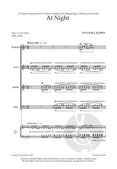At Night von Connor J. Koppin (Download) 