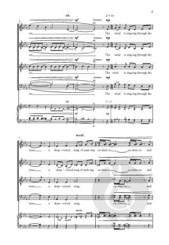 At Night von Connor J. Koppin (Download) 