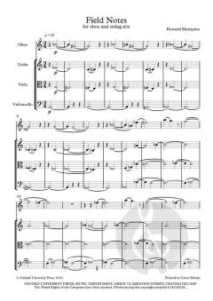 Field Notes von Howard Skempton (Download) 