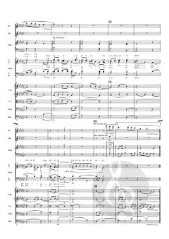 Mary's Lullaby von John Rutter (Download) 