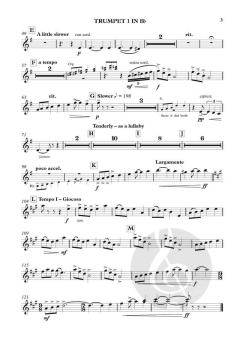 Noel! von Gordon Thornett (Download) 