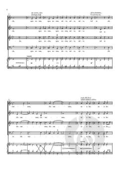 Salve Regina von Sally Dunkley (Download) 